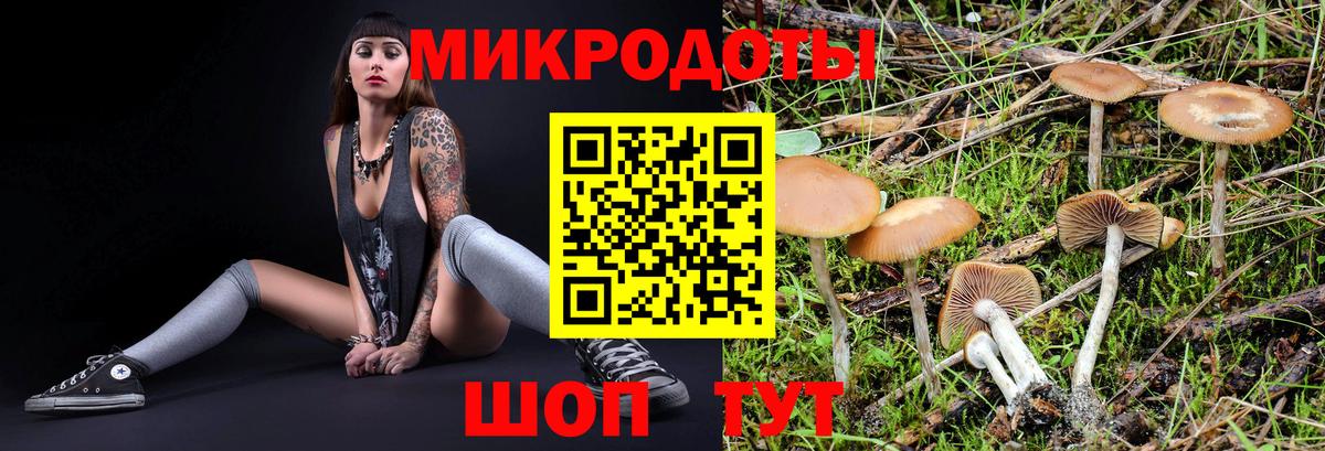 Лесной  Псилоцибиновые грибы мухоморы  Псилоцибиновые грибы GOLDEN TEACHER  Вход с VPN 